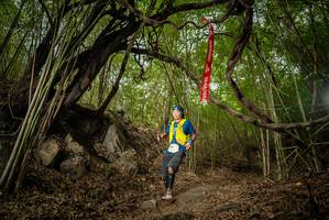 BIB: 
                            <button type="button" onclick="openModal(22178615)" class="btn btn-primary btn-sm float-right btn-popup" data-toggle="modal" data-target=".modal-high-quality">
                        <i class="fas fa-shopping-cart"></i> Add to Cart
                    </button>
                                            <button type="button" onclick="isThisMe(22178615, true)" class="btn btn-success btn-sm float-right btn-popup btn-isme hidden" data-toggle="tooltip" data-placement="bottom" title="นี่คือรูปของคุณใช่ไหม คลิกที่นี่เพื่อเอาเข้าอัลบั้ม">
                        <i class="fas fa-plus"></i> Add to album
                    </button>
                    <button type="button" onclick="isThisMe(22178615, false)" class="btn btn-warning btn-sm float-right btn-popup btn-isnotme hidden">
                        <i class="fas fa-ban"></i> Remove from album
                    </button>